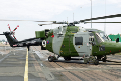 Freshly painted Lynx