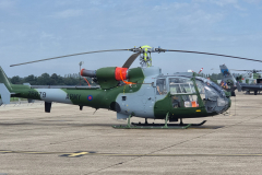 Middle Wallop based Gazelle