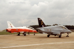 A pair of Hawks