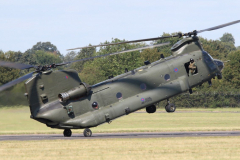 Chinook