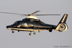 AAC Dauphin
