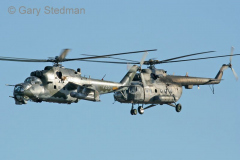 Czech Hind and Hip