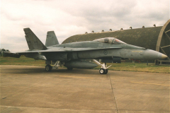 Canadian Hornet 188758